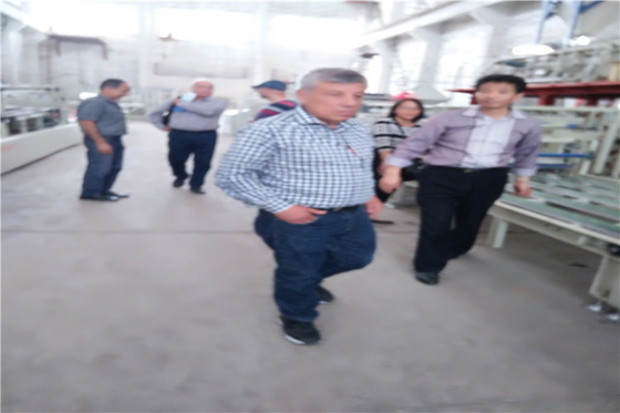 CE 인증 수직 얇은 헐리우드 지붕 잎 형성 기계
